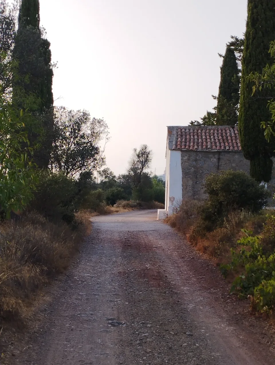 A rural path through the landscape near Mesta