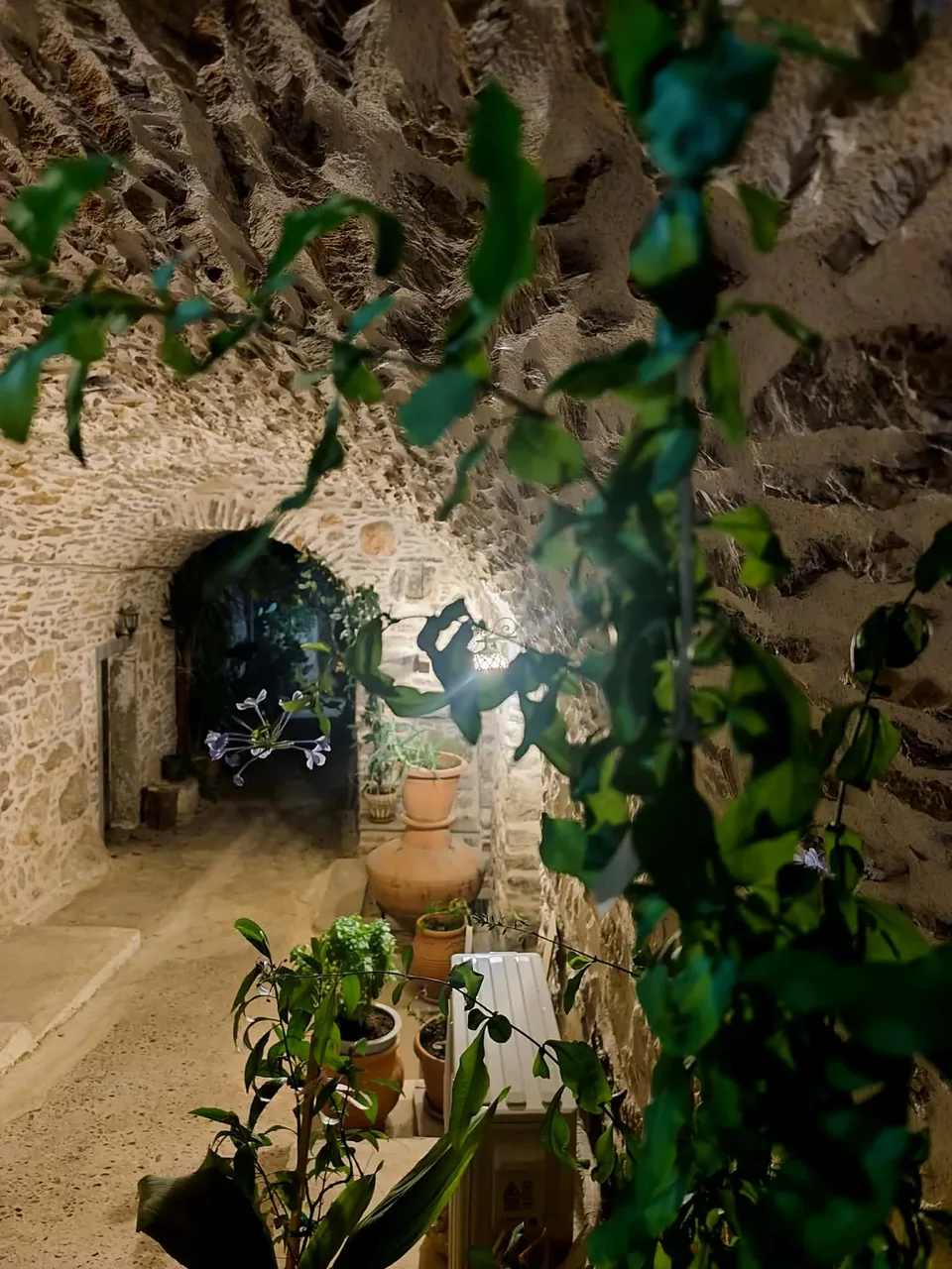 Stone arches, plants and a lived-in passage in Mesta